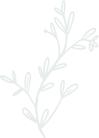 Botanical Soap Studio